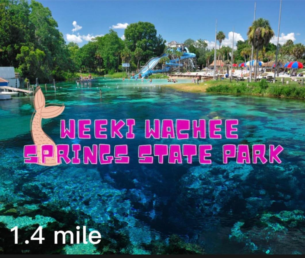 Bonne Nuit Weeki Wachee Villa Exterior photo